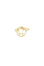 12 Zodiac-ringen